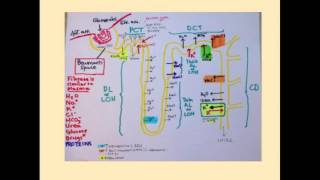 Sodium Imbalances  CRASH Medical Review Series [upl. by Ettenawtna197]