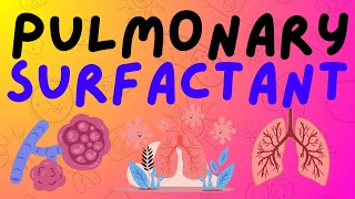 The Respiratory System Pulmonary Surfactant [upl. by Inohtna859]