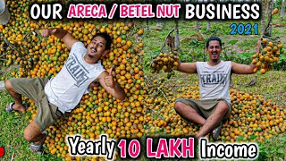 ARECA NUT FARMING  BETEL NUT CULTIVATION  Our Income In 2021💰Supari Kheti Kaise Hoti Hai [upl. by Aidnis]