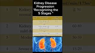 Kidney Disease Progression Recognizing the 5 Stages kidney healthytips shortsbeta DrSaimakhan [upl. by Loresz876]