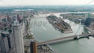 Rotterdam Netherlands Erasmus Bridge Noordereiland Island View of the city center River Nieu [upl. by Eemia]