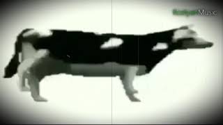 Dancing polish cow remix  Танцующая польская корова ремикс [upl. by Emirac]