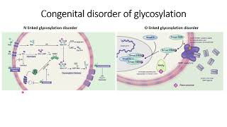 Congenital disorder of Glycosylation CDG  Diseases Code 570 [upl. by Dulciana]