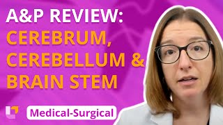 AampP Review Cerebrum Cerebellum amp Brain Stem  MedicalSurgical  Nervous System  LevelUpRN [upl. by Arreit]