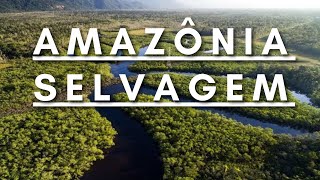 Amazônia Selvagem  Berço da vida  Documentário dublado HD [upl. by Arondell]