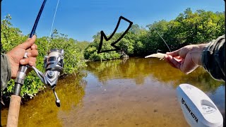 Fishing and Exploring The Backcountry on Gheenoe [upl. by Eglantine]