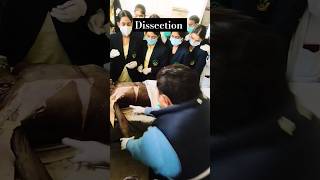 HumanBodyDissection 🦴  CadavericDissection🏨  IAMSCollegeDissection Hall🏥 shorts viral iams [upl. by Reyna]