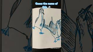 Guess the name of this bird 🐦 seeing its foot color  birdslover lineartdrawing birdsart [upl. by Drue]