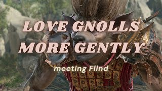 love gnolls more gently [upl. by Attennot]