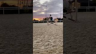 horse horseplay equestrian equestrianshow horseshowlife horsejumping horsesport riding [upl. by Currey]