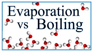 Boiling vs Evaporation Definition Examples amp Explanation [upl. by Kcerb]