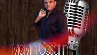 Melvin cesarinEl parrandero [upl. by Irisa]