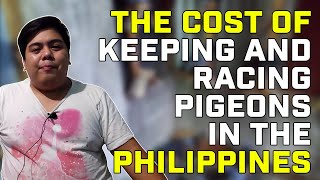 The Cost of Keeping and Racing Pigeons in the Philippines [upl. by Yarrum775]