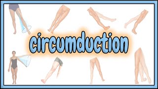 28 Circumduction Term  2D Animation [upl. by Matronna89]