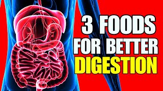 3 POWERFUL Foods For Better Digestion MUST EAT [upl. by Haleelahk]