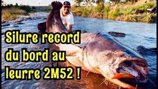 SILURE RECORD PERSO 2M52 [upl. by Jehius]