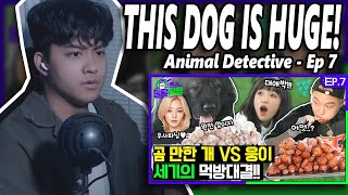 Choi Yena  Animal Detective Episode 7 Bugatti vs Woongei who will win the food fight  REACTION [upl. by Atnuahc]