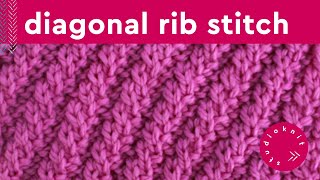 Diagonal Rib Stitch Knitting Pattern for Beginners [upl. by Nytsirc312]