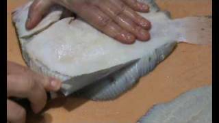 Steinbutt filetieren  How to filet turbot [upl. by Ytirev]