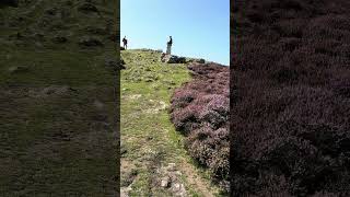 Gower Coast Walk Rhossili Bay – Summit [upl. by Redmond]