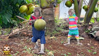 YiYi and YinYin pick coconuts to say goodbye to grandpa [upl. by Enairda]