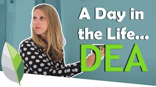 Day in the Life of a Domestic Energy Assessor [upl. by Lombardi538]