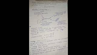 Carbohydrates complete in biochemistry Shorts video trending [upl. by Nosnej363]