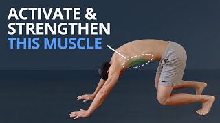 3 Top Exercises to Wake Up SERRATUS ANTERIOR PLUS Anatomy Explained [upl. by Chaddie]