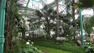 The Royal Greenhouses of Laeken Congo Greenhouse [upl. by Sirej12]