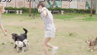 chuu vs dogs [upl. by Sharon791]