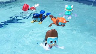 PAw patrol paddlin pups swimming in pool [upl. by Ailecec]