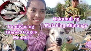 Namiwas Kami ng Isda sa fishpond Vlog483 [upl. by Suckram]