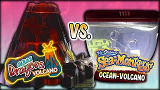 Aqua Dragons Volcano vs SeaMonkeys Ocean Volcano Days 130 [upl. by Giraud]