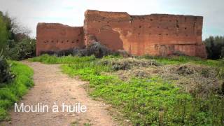 Agdal Gardens in Marrakesh [upl. by Hoppe]