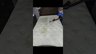 Mattress Cleaning cleaning couch upholstery carpetcleaning satisfying [upl. by Jacinta]