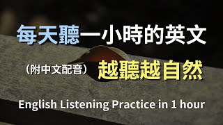 🎧保母級聽力訓練｜學會每天都用的英文句子｜真實對話場景｜輕鬆學英文｜高效提升聽力技巧｜English Listening（附中文配音） [upl. by Waki]