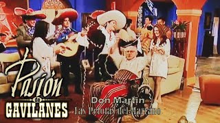 Pasion de Gavilanes Don Martin 50  Cumpleaños de Martin [upl. by Rubi]