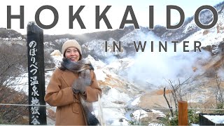 What to do in Hokkaido in Winter [upl. by Valerlan]