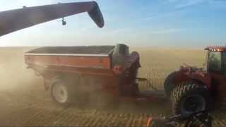 Huge farm in Alberta canada over 65 000 acres BampD WALTER FARMS Walters harvesting [upl. by Alliw]