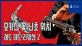 김군 PS4 레드 데드 리뎀션 2  모카신 꽃 난초 위치 Red Dead Redemption 2  Moccasin Flower Orchid [upl. by Yerac]