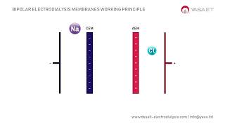 Bipolar Electrodialysis Membranes Working Principle in 1 min  DESALT by YASA ET [upl. by Wiles586]