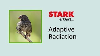 Adaptive Radiation  STARK erklärt [upl. by Eenhat]