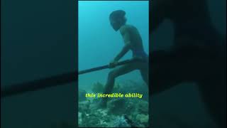 Bajau 13 Minutes Underwater Incredible As If Walking On Land [upl. by Corwin]