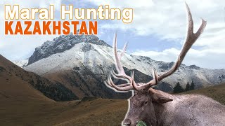 MARAL Hunting in Kazakhstan  2017 Chasse Cerf Maral Approche [upl. by Bradshaw]