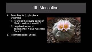 Lecture 20 Psychedelic Drugs Part 1 [upl. by Macur600]