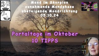 Portaltage im Oktober  10 Tipps wie du damit umgehen kannst [upl. by Ynnoj]