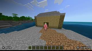 ONE LIFE SMP applications open check desc minecraft smp bedrock onelife fun smplive [upl. by Aener44]