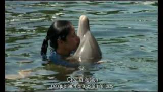 The Cove Trailer español [upl. by Yebba]