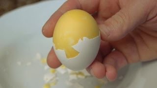 How to Scramble Eggs Inside Their Shell [upl. by Libna308]