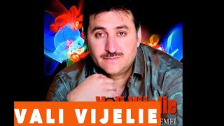 Vali Vijelie  Sa iubesti doua femei Hit Audio [upl. by Olsewski]